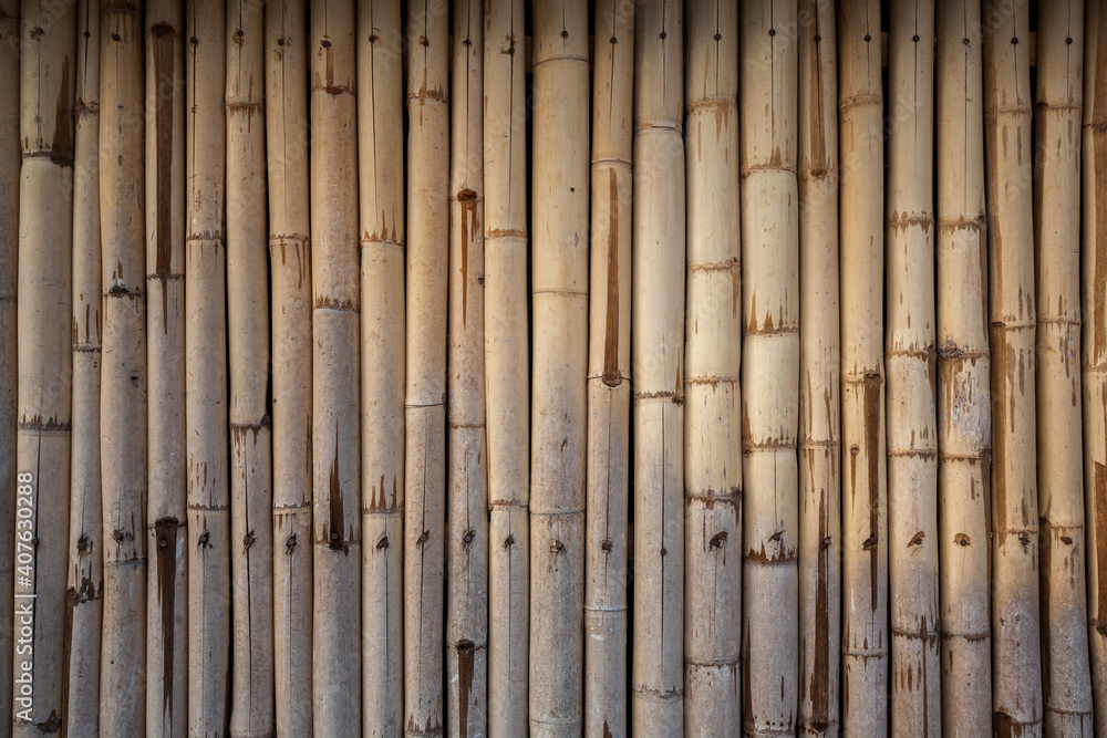 Naklejka premium bamboo background