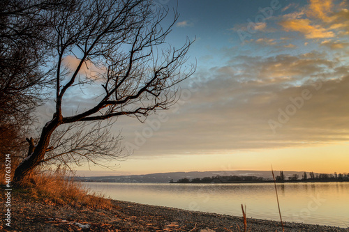 sunset on the lake constance