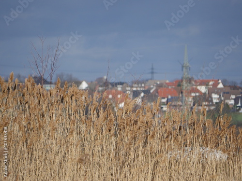 Herringen