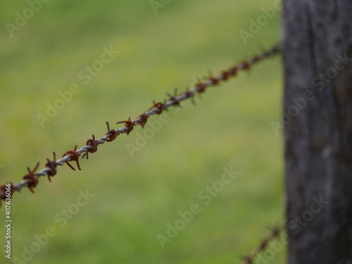 Stacheldraht rostig