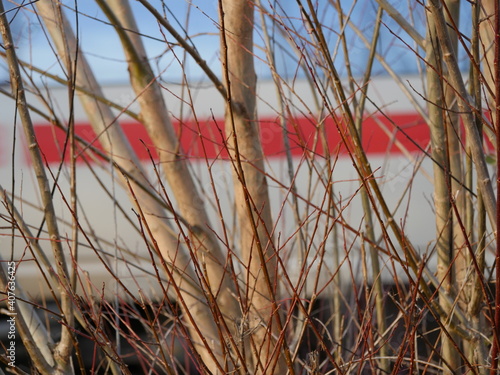 Zug hinter Hecke