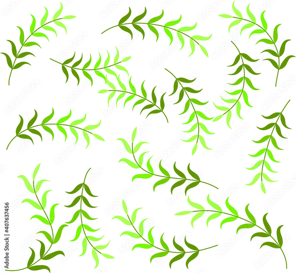 Fototapeta premium vector drawing plant flowers leaf set