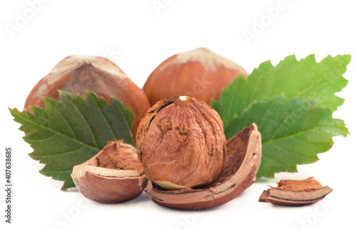 Closeup of hazelnuts, isolated on the white background