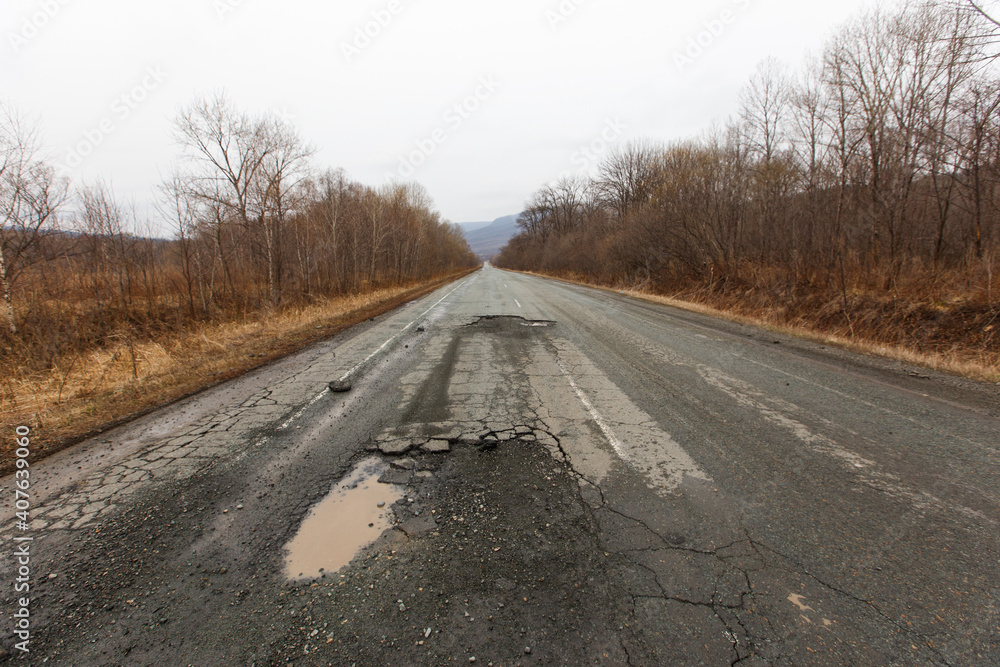 Fototapeta premium Bad Russian asphalt road. The asphalt road is full of holes and cracks among dried autumn trees.