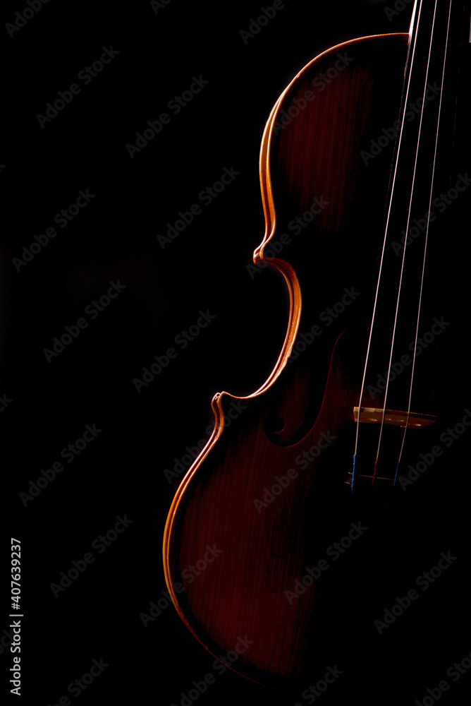 Violin music instrument closeup isolated on black