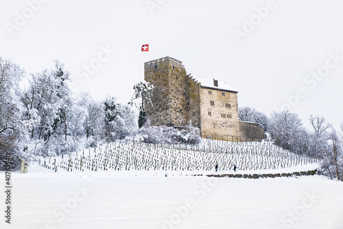 View of Habsburg Castle in Switzerland during a winter january day. photo