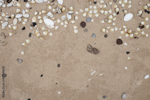 Muscheln im Sand Bokeh für Textfreiraum