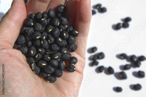Black beans in woman hands.