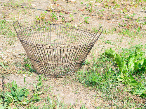 Empty metal basket on the field. Sunny autumn day. Farmer's rusty pannier with holders. Empty corf ready for harvest. Farm, field or garden with plants. Bad harvest concept.