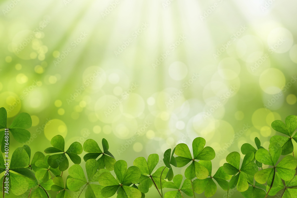Fresh clover leaves on green background. St. Patrick's Day celebration Fresh clover leaves on green background. St. Patrick's Day celebration