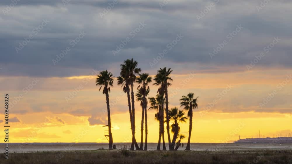 Barcelona palm beach day to night - Sunset Timelapse Barcelona palm beach day to night - Sunset Timelapse