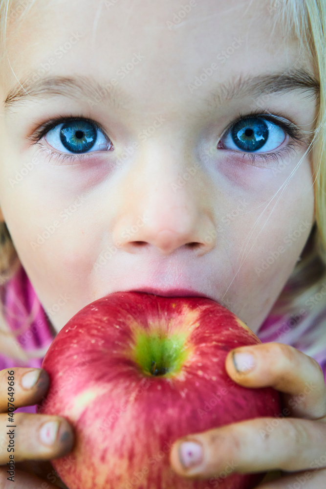 Child girl eating fresh apple after plucking from the tree. Closeup portrait Child girl eating fresh apple after plucking from the tree. Closeup portrait