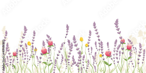 Lavender and summer flowers. Vector illustration, narrow banner with wildflowers, background for postcard