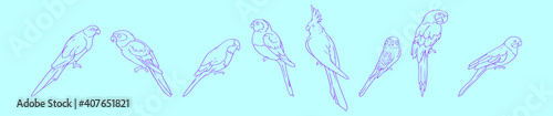 set of parrots cartoon icon design template with various models. vector illustration isolated on blue background photo
