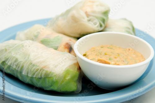 rice paper wrapped chicken and a thai peanut sauce photo