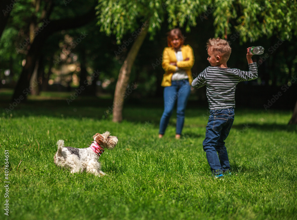 Obraz premium Family having fun in city summer park mother with son playing on grass with little puppy dog