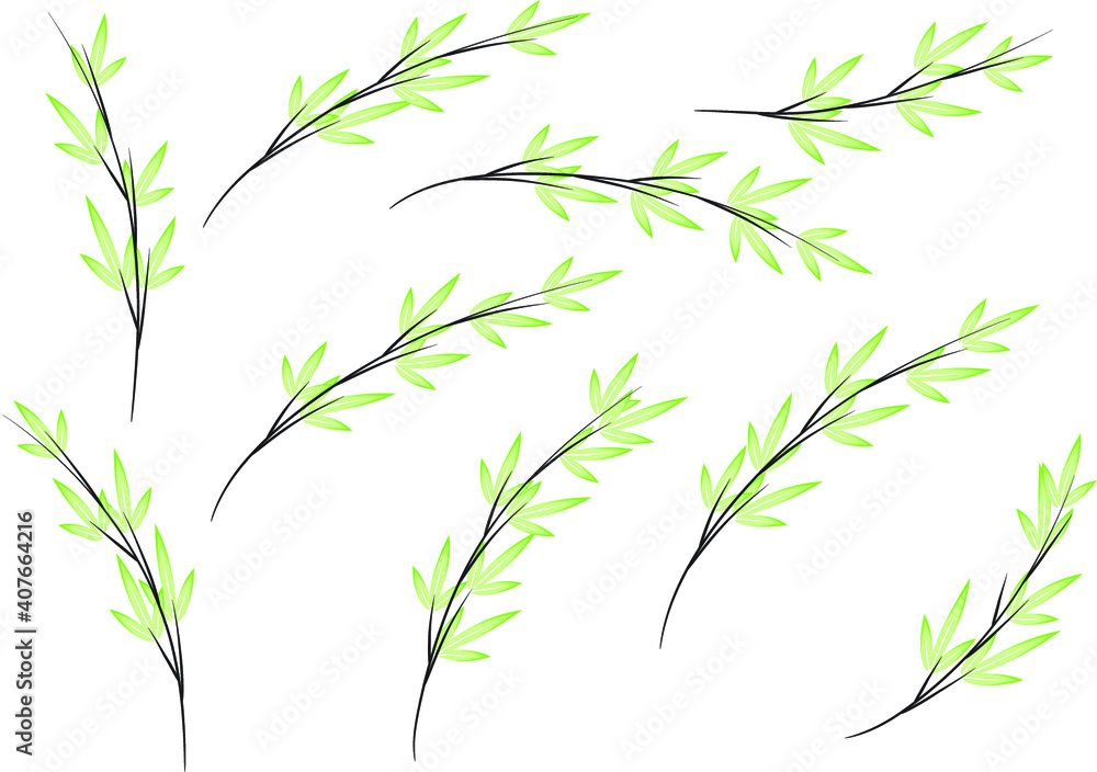Obraz premium vector design bamboo icon background