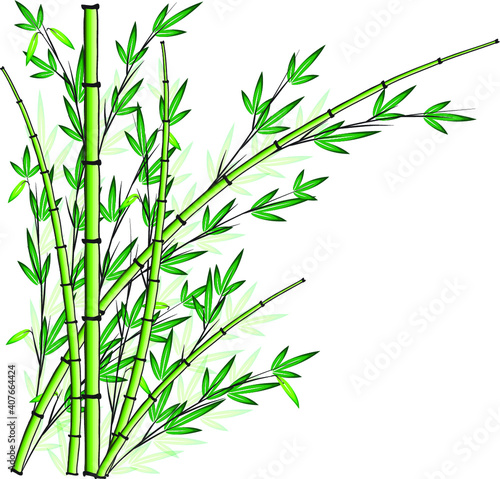 Fototapeta Naklejka Na Ścianę i Meble -  vector design bamboo icon background