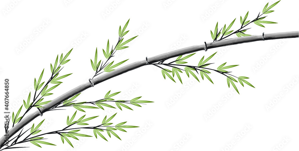 Obraz premium vector design bamboo icon background