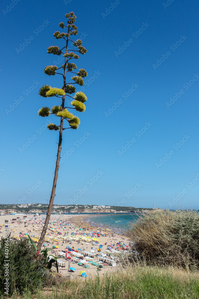 Panoramic view of Praia da Rocha, Portimão, Algarve