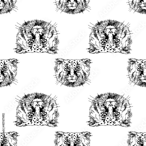 Seamless pattern of hand drawn sketch style Pallas's cats isolated on white background. Vector illustration.