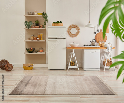 Kitchen carpet on the parquet style, decorative new refrigerator and dishwasher, shelf, mirror, lamp and vase of plant style. photo