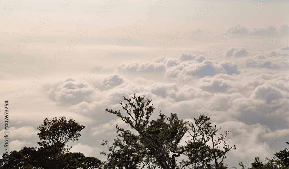Obraz premium clouds in the mountains