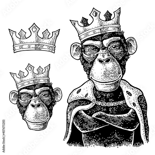 Monkey king with paws crossed dressed in the mantle and crow. Vintage black engraving