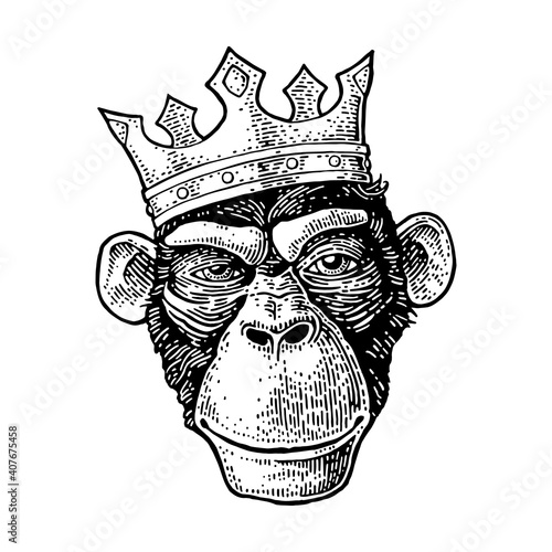 Monkey king head with crow. Vintage black engraving illustration