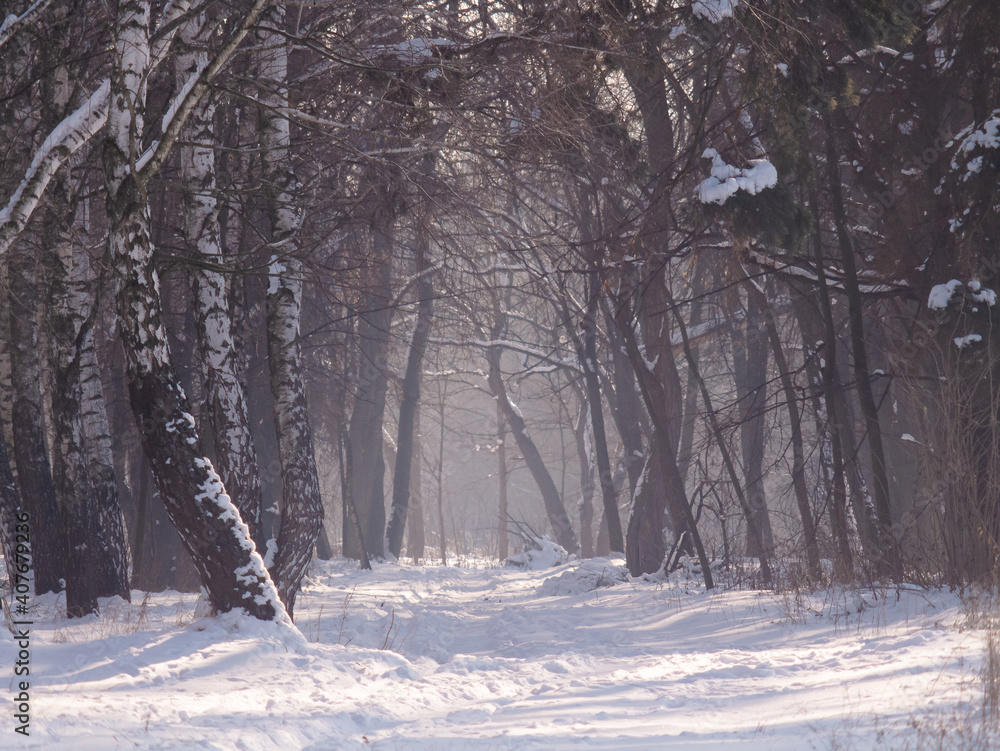 Naklejka premium View on the winter nature in Ukraine