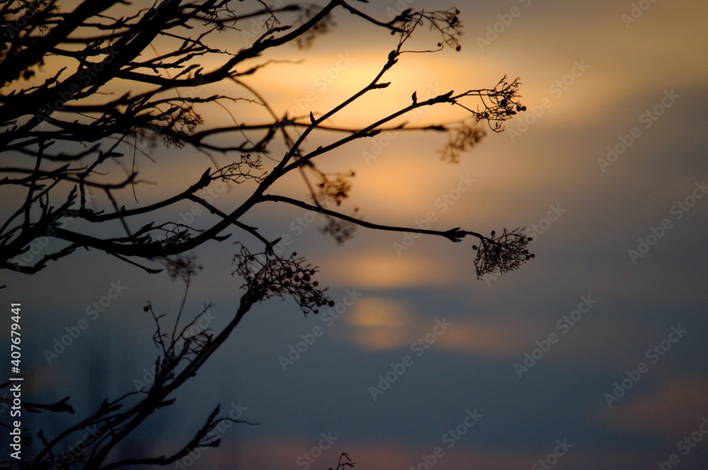 Fototapeta premium sunset on the lake