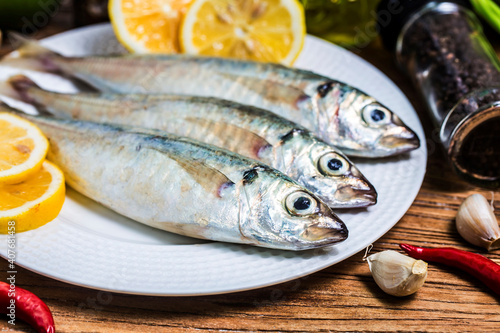 Принти на полотні round scad fish (1)