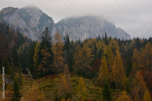 Wooden cabin in mountains with colored trees in autumn colours