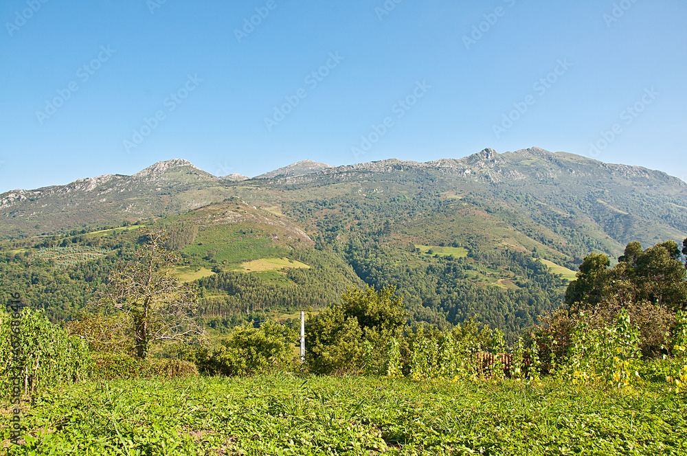 Monte sueve. Asturias. 