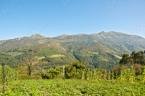 Monte sueve. Asturias. 
