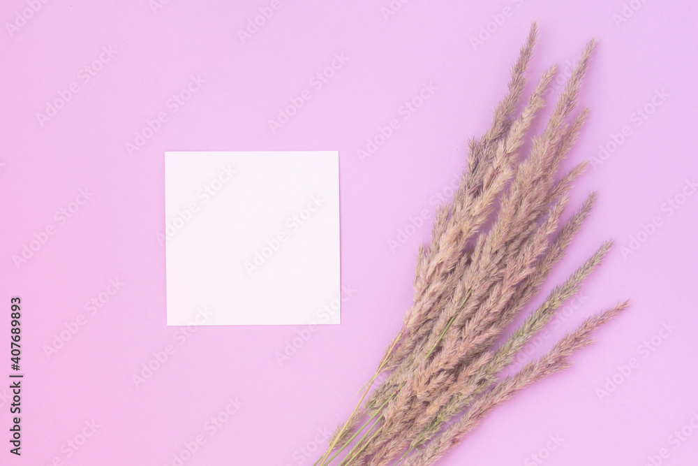 white sheet of paper and wildflowers on a pink background. summer concept. Flat lay white sheet of paper and wildflowers on a pink background. summer concept. Flat lay