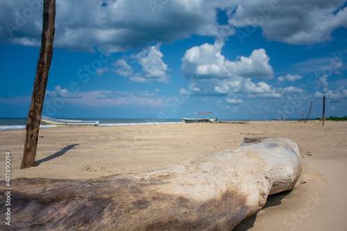 beach and sea