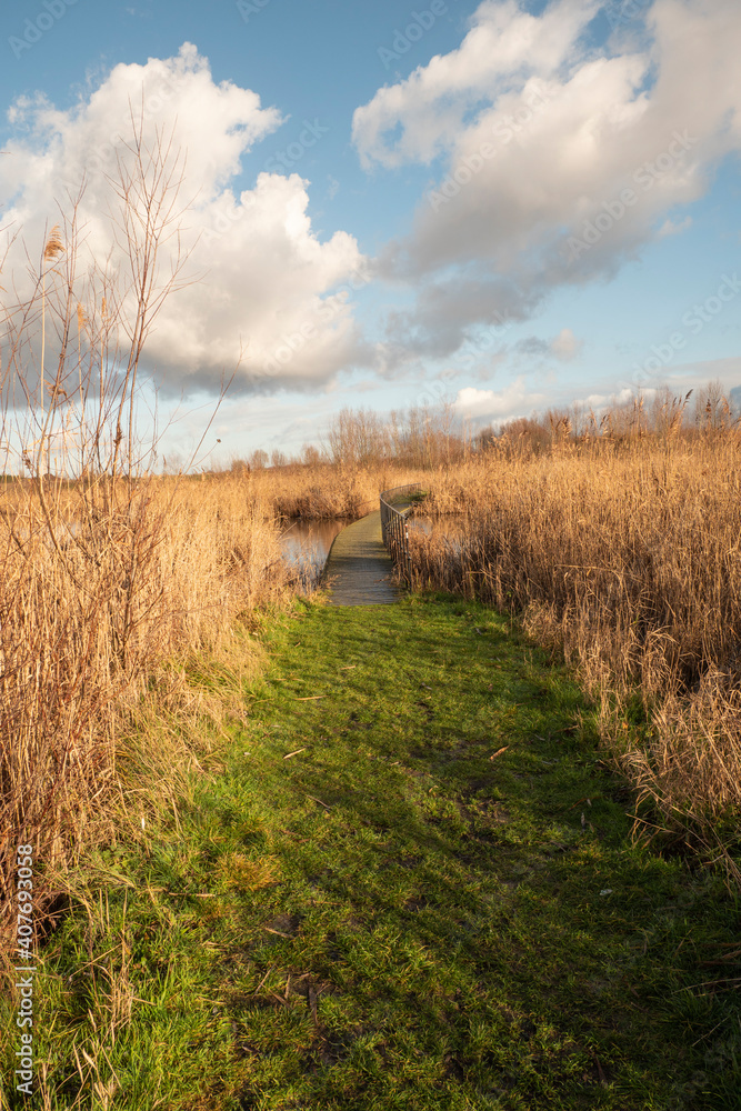 Obraz premium Wooden bridge with iron railing over a pond in the polders of Kruibeke, Belgium