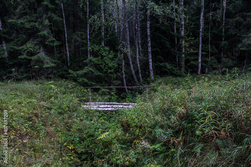 small bridge in the forest