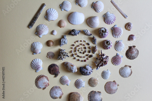 sea shells on board