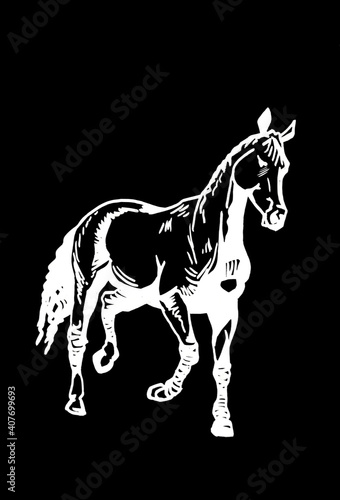 Vector hand-drawn horse isolated on black background,graphical engraved illustration © Vita