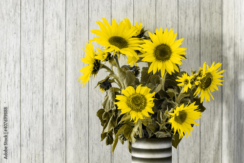 Fototapeta Naklejka Na Ścianę i Meble -  A bunch of sunflowers in a black vase on a rustic white wooden table. Color of the year 2021