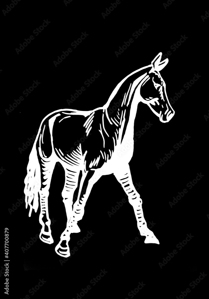 Vector hand-drawn horse isolated on black background,graphical engraved illustration