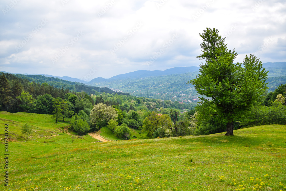 Fototapeta premium Romanian Countryside , Arges County , Capataneni , 
