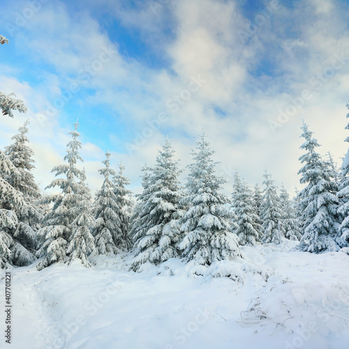 Winterlandschaft © Jenny Sturm