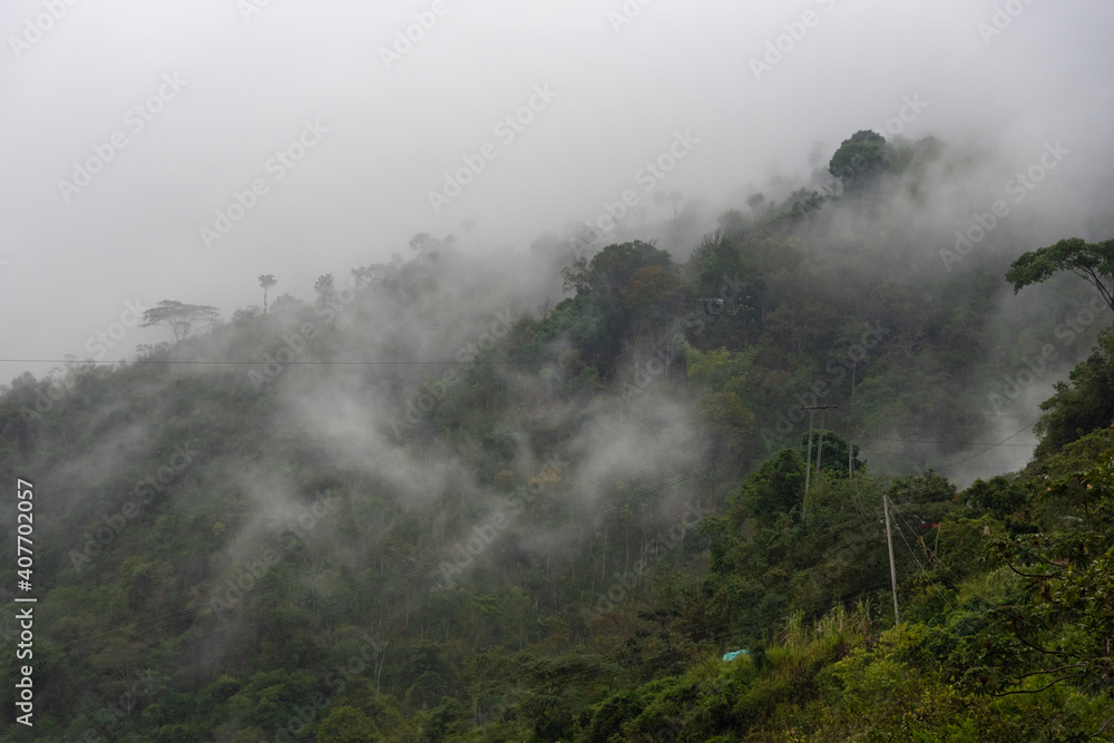 Fog between forests that is on the mountain in a Colombian landscape.