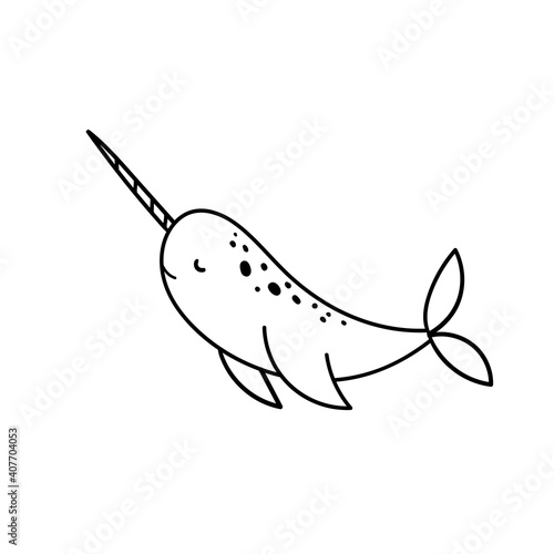 Simple doodle drawings with norval. Vector illustration with arctic whale isolated on white background