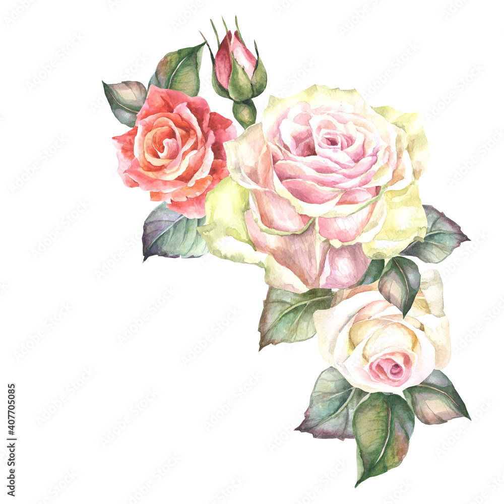 bouquet of watercolor roses on white