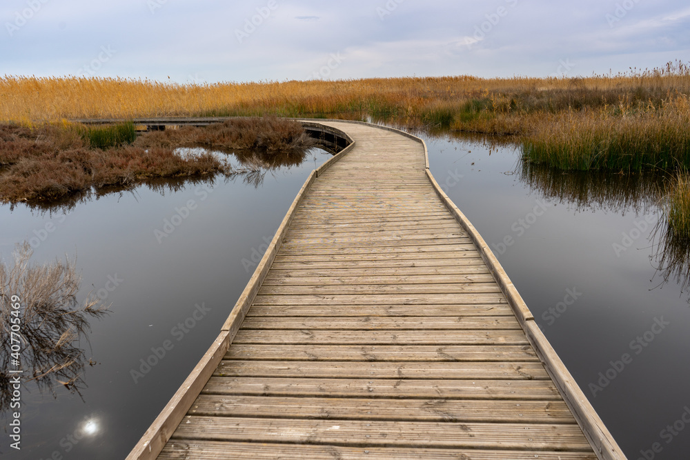 View of a wooden walkway in the natural reserve of plants and birds La Marjal els Moros in the town of Puzol in Spain