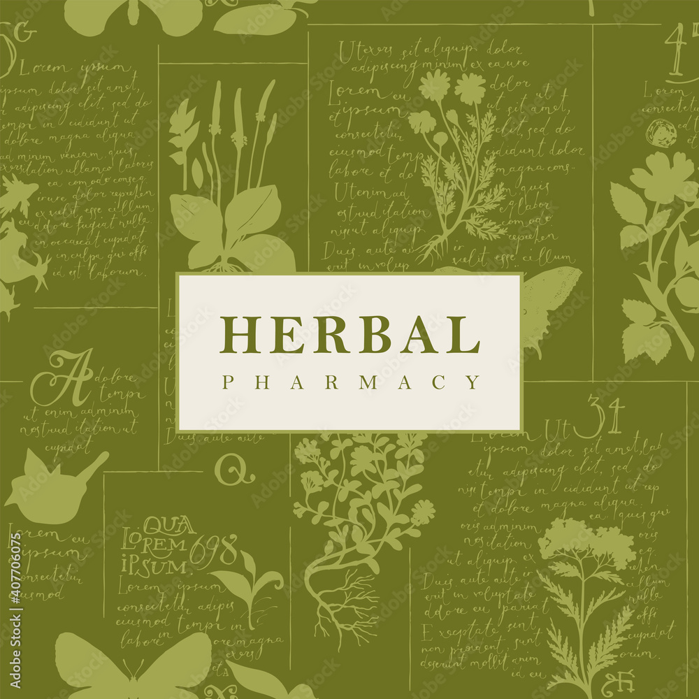 Vector banner or label for herbal pharmacy in retro style. Hand-drawn illustration with medicinal herbs and handwritten text Lorem Ipsum on a green background
